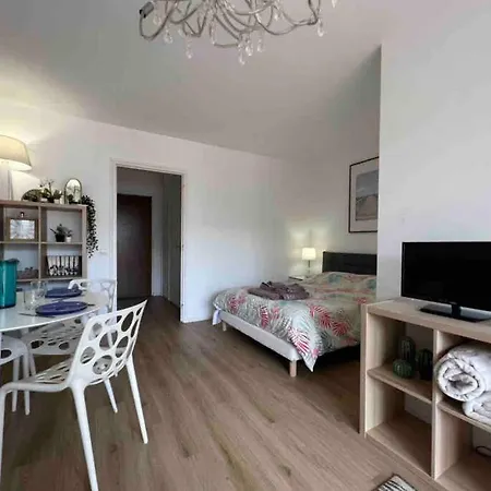 Bron Confort Lumineux Proche Eurexpo, Hopitaux Exterior photo