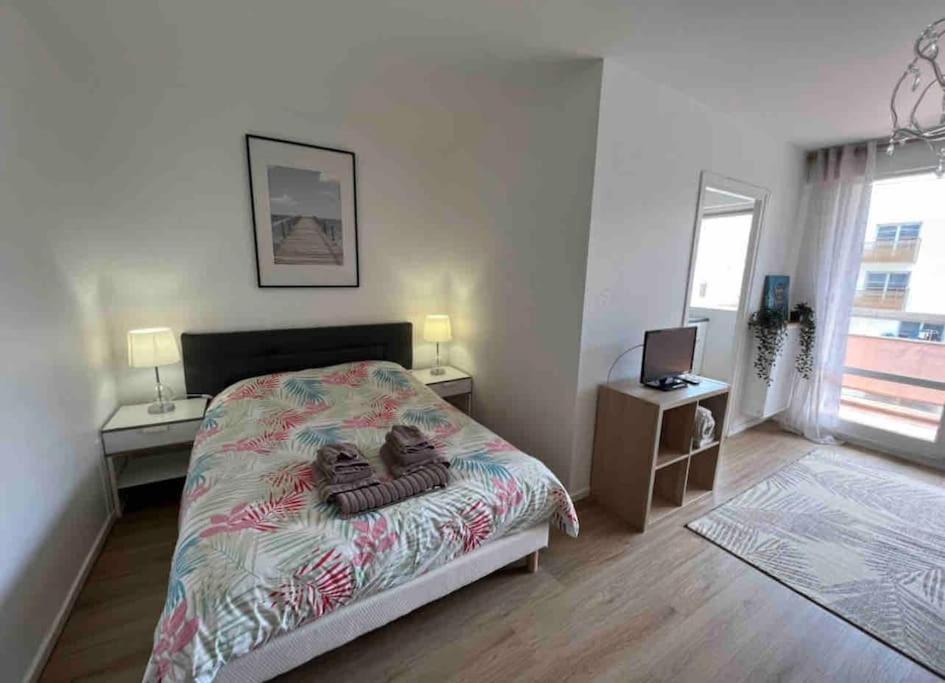 Confort Lumineux Proche Eurexpo, Hopitaux Appartement Bron
