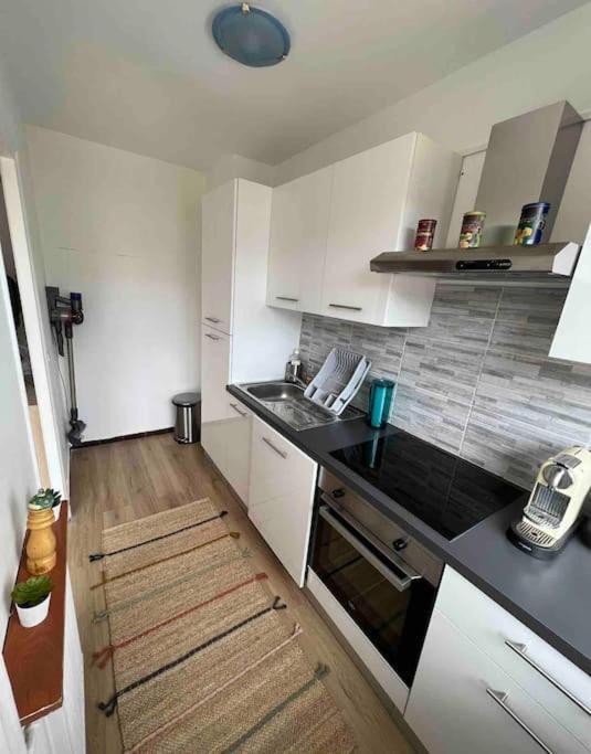 Confort Lumineux Proche Eurexpo, Hopitaux Appartement