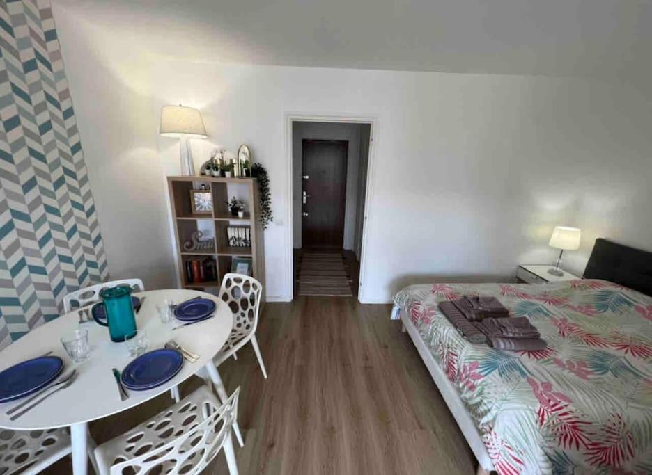 Confort Lumineux Proche Eurexpo, Hopitaux Appartement